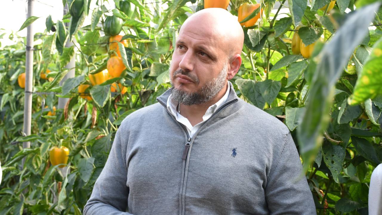 Rodrigo Alonso