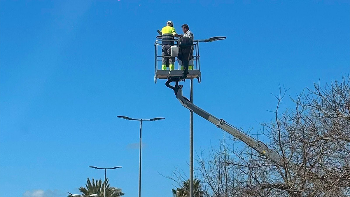 Sanlúcar riesgos laborales