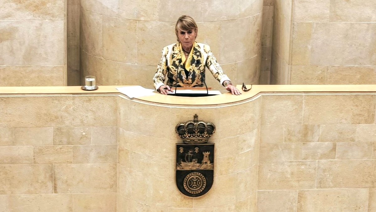 Natividad Pérez interviene sobre la brecha digital