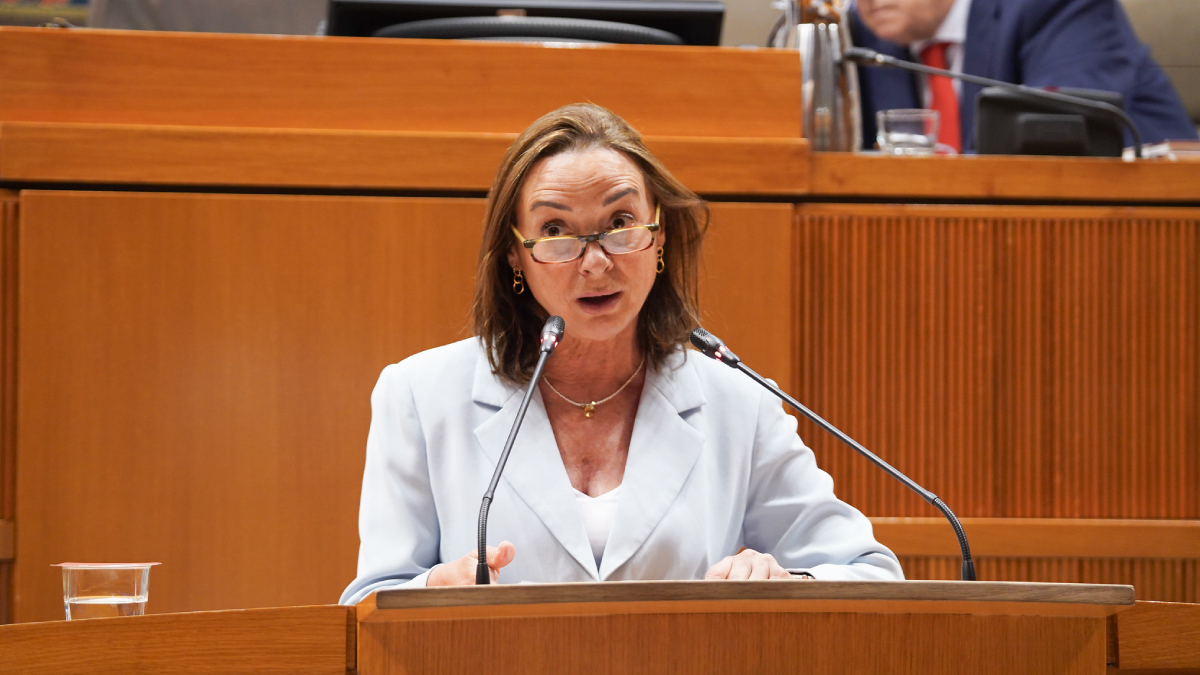 Carmen Rouco, en el pleno