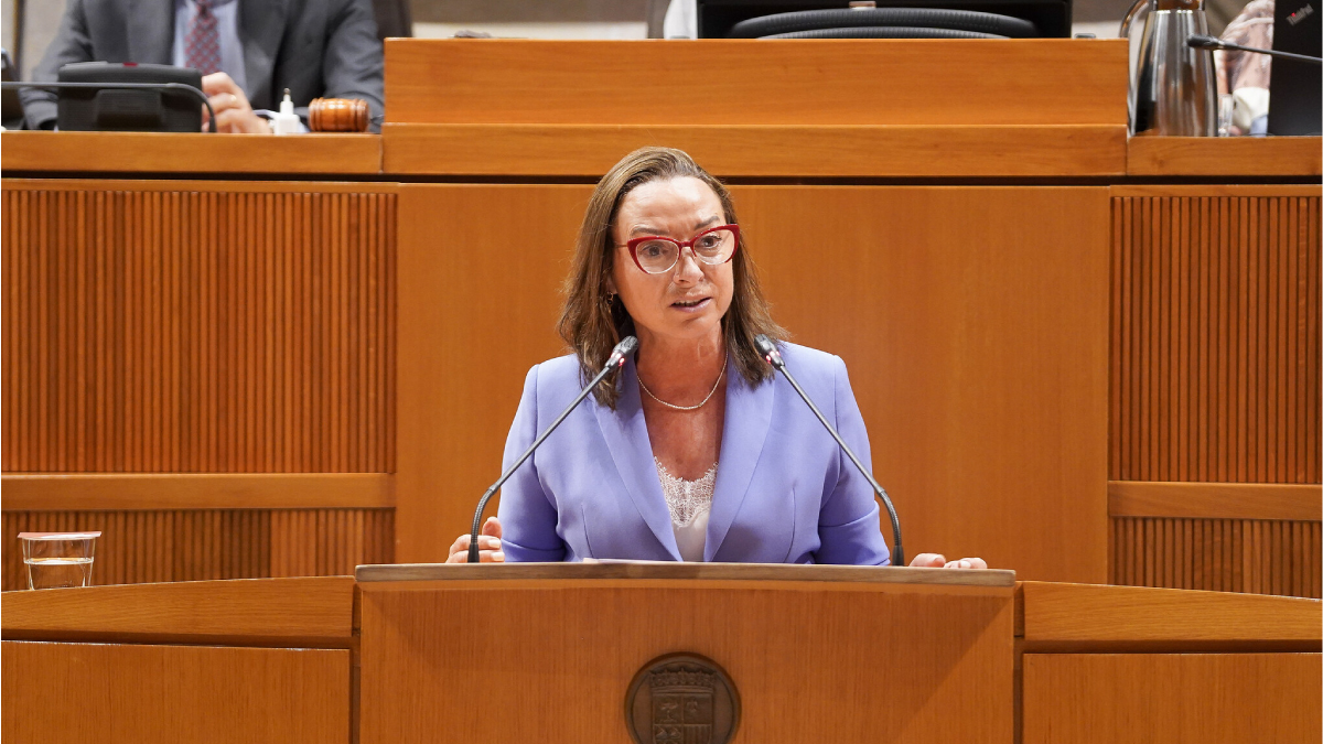 Carmen Rouco, en el pleno del 12 de junio
