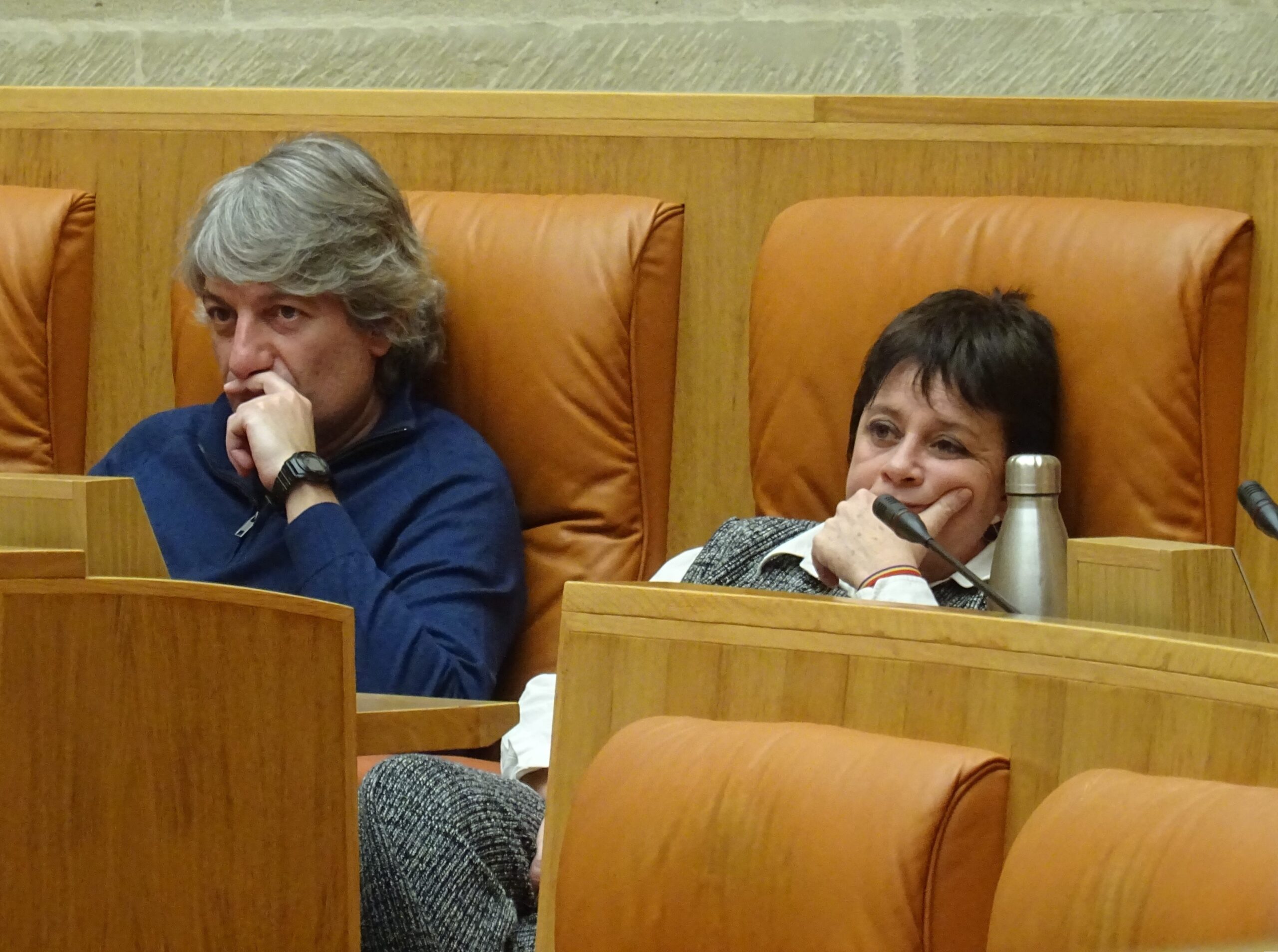 Diputados de Izquierda Unida de La Rioja
