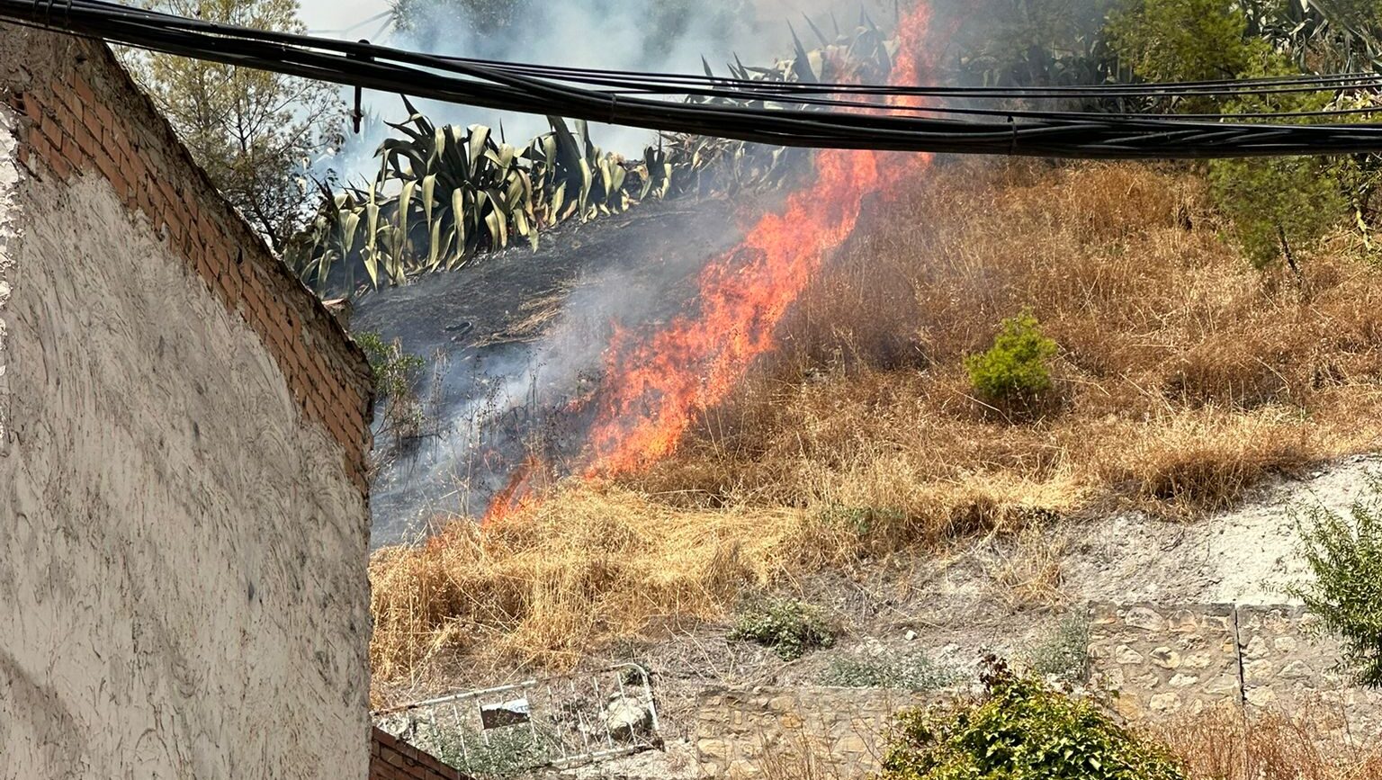 Incendio Baena. VOX