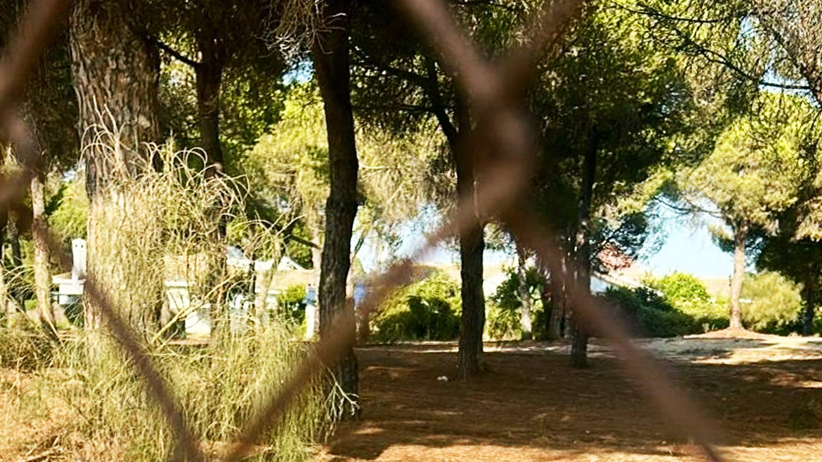 Pinar El Águila El Puerto