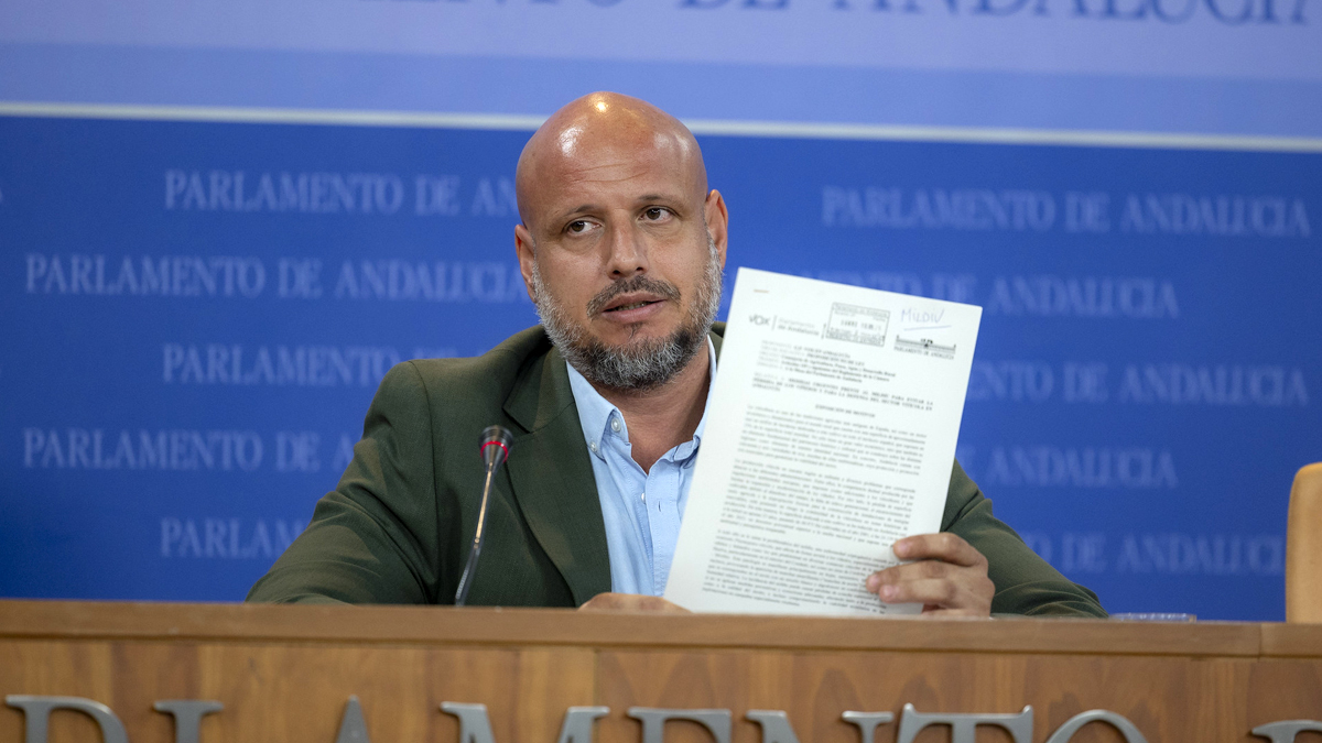Rodrigo Alonso, portavoz adjunto del Grupo Parlamentario VOX en Andalucía