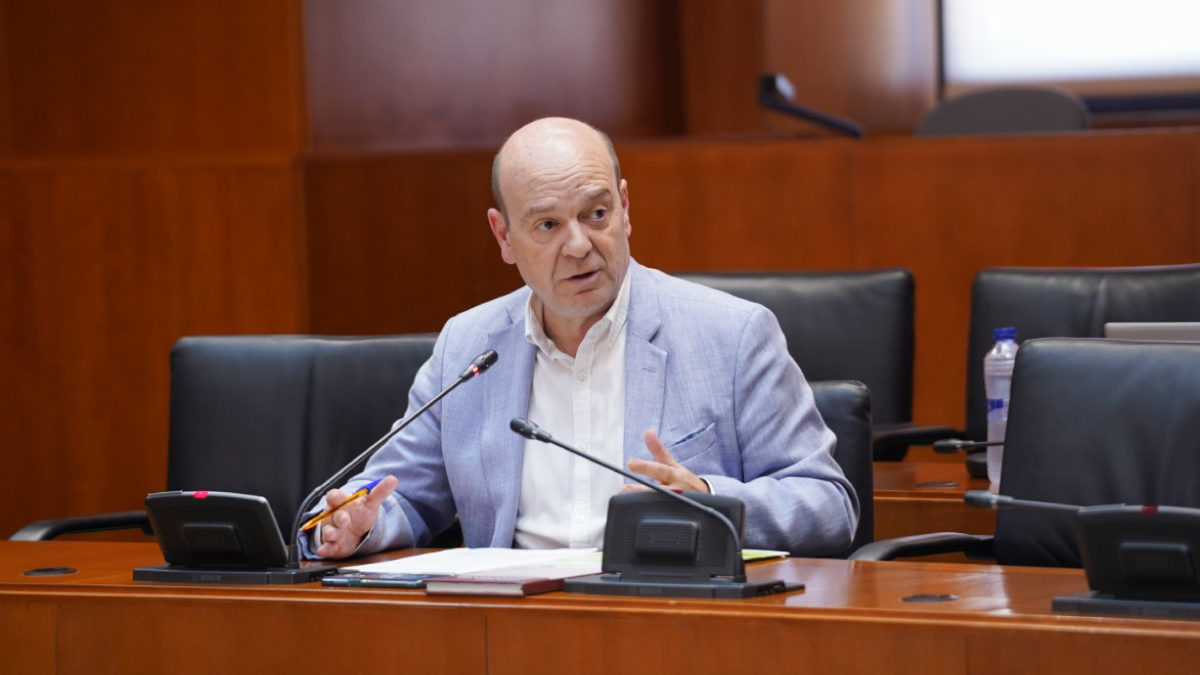 El portavoz adjunto de VOX, Santiago Morón, en la comisión de Sanidad