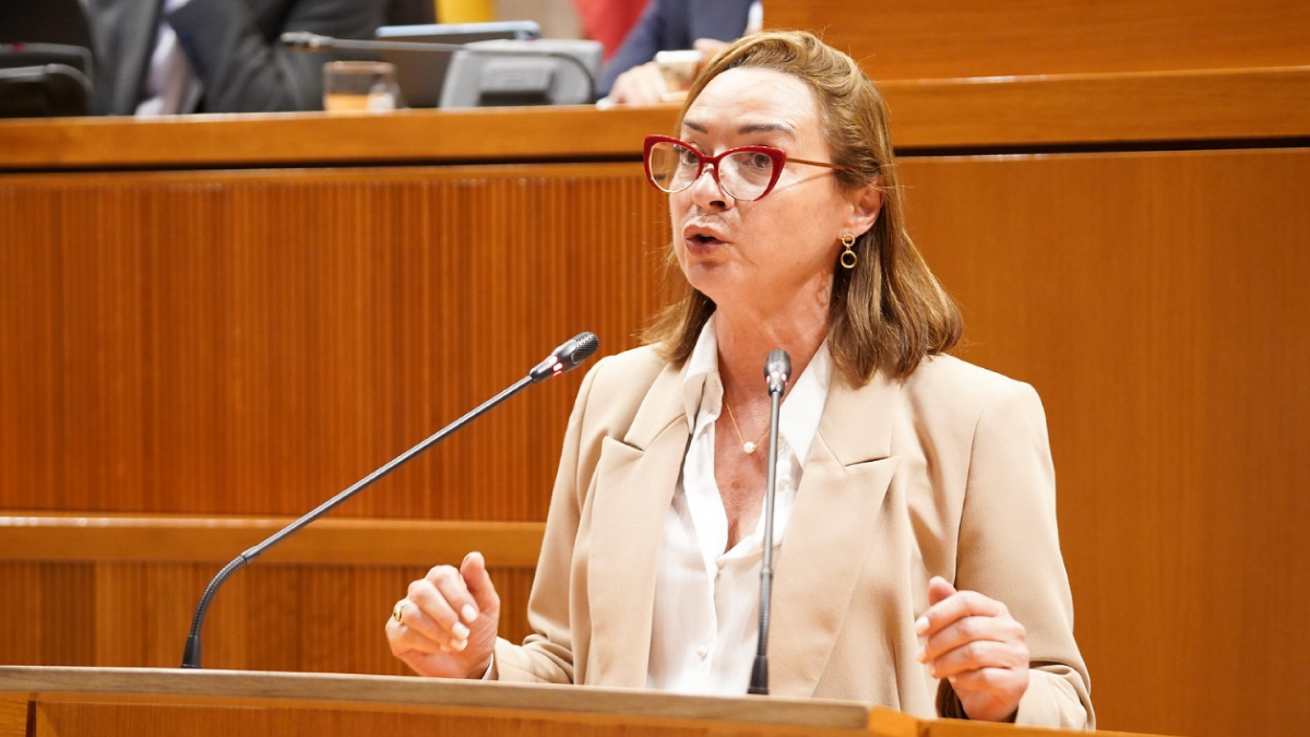Carmen Rouco, en el pleno de las Cortes