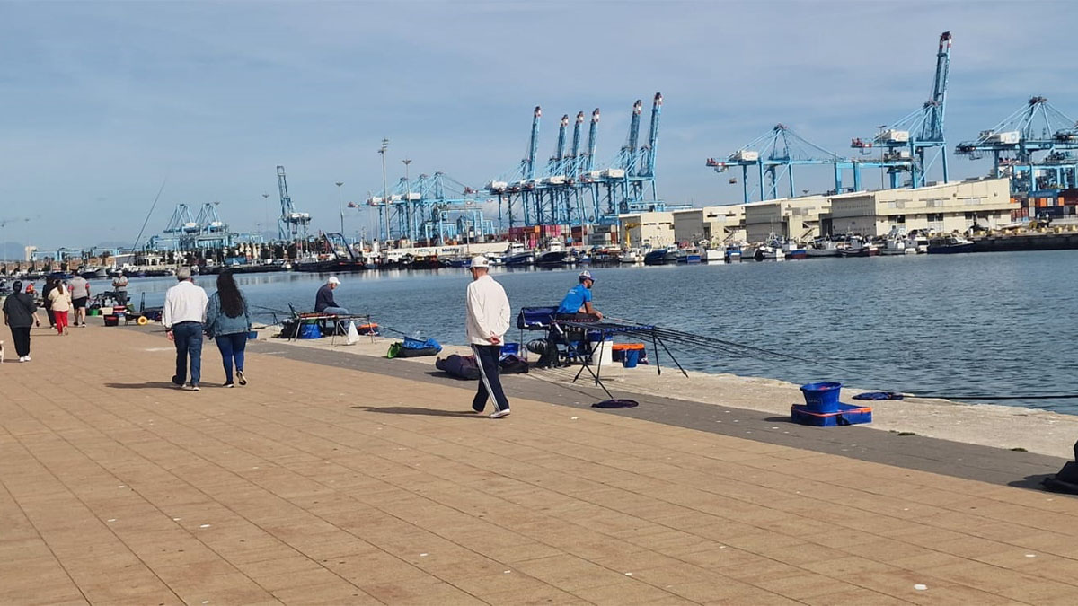 pesca puerto algeciras