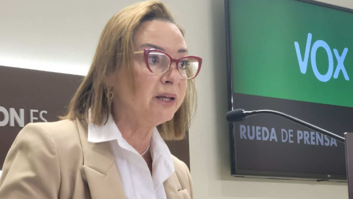 Rouco rechaza la baliza V-16 por “ser una paliza más contra las ...