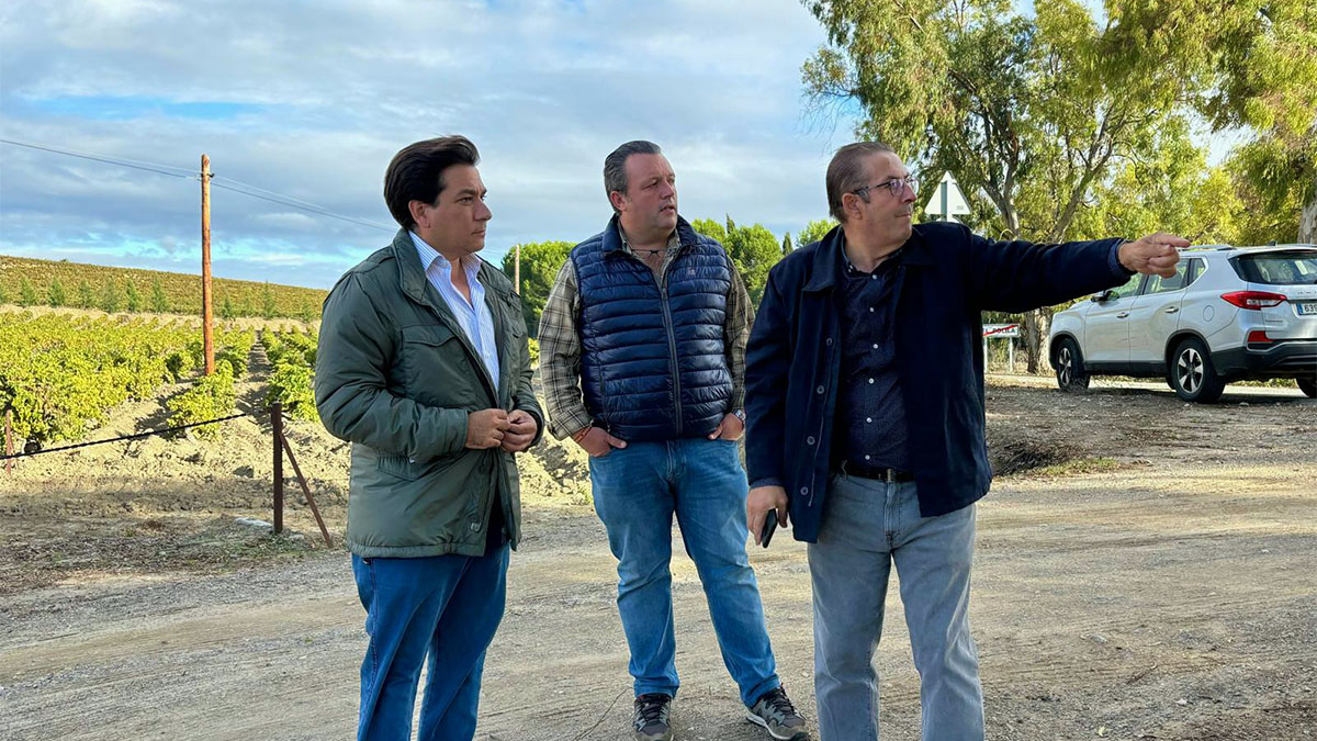 vox jerez viviendas rurales