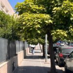Estado de la calle Isla Malante y alrededores.
