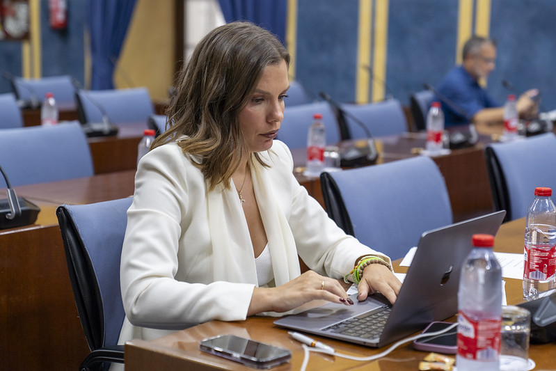 Huelva: VOX propone usar la Inteligencia Artificial para simplificar la Administración