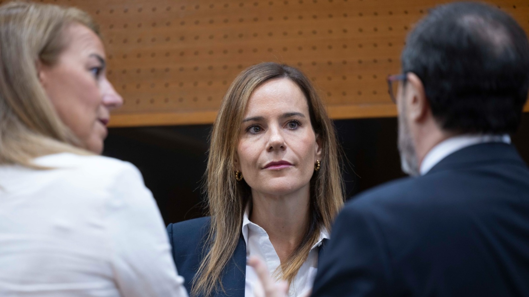 Isabel Pérez Moñino, Vox