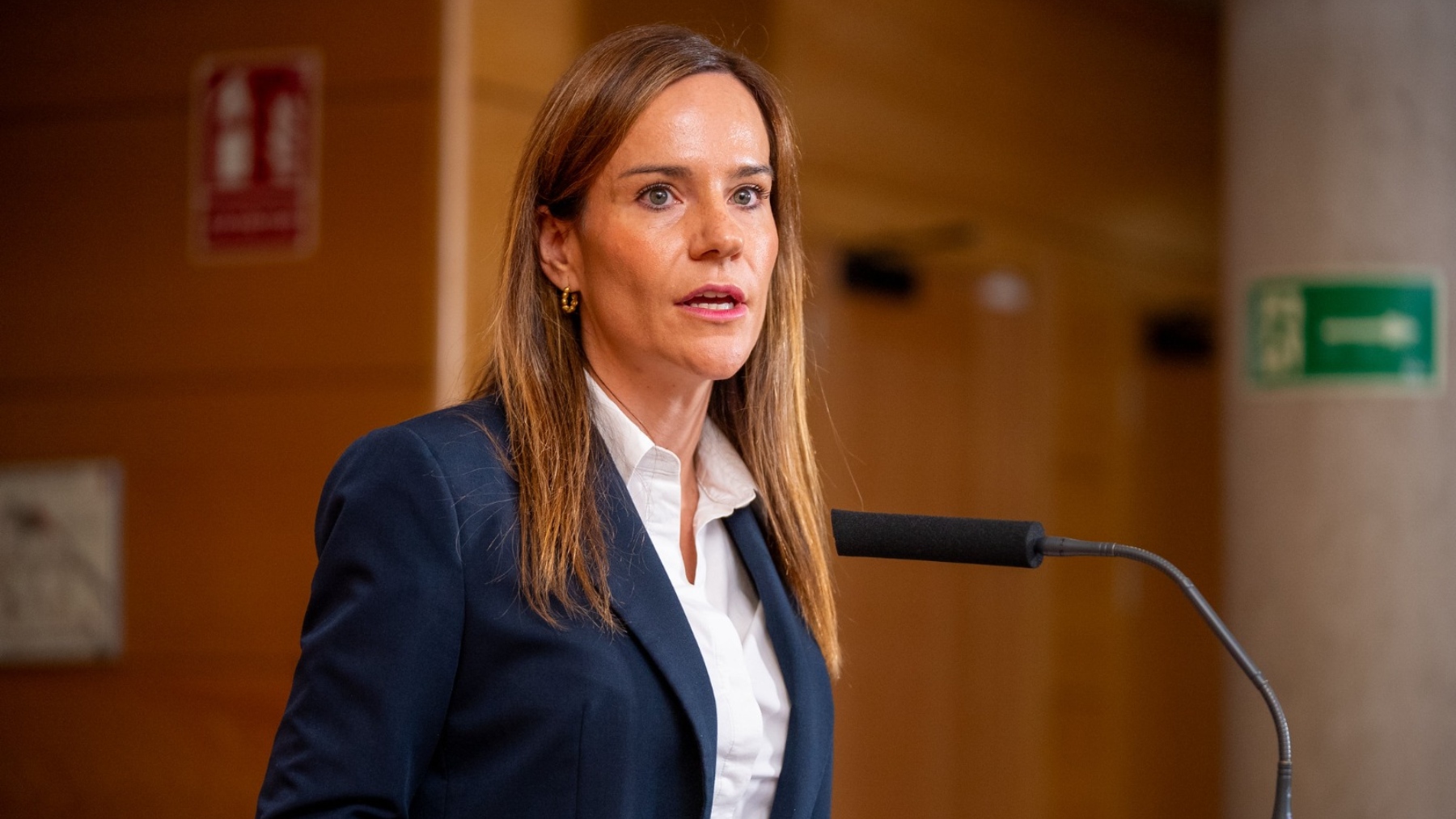 Vox, Isabel Pérez Moñino.