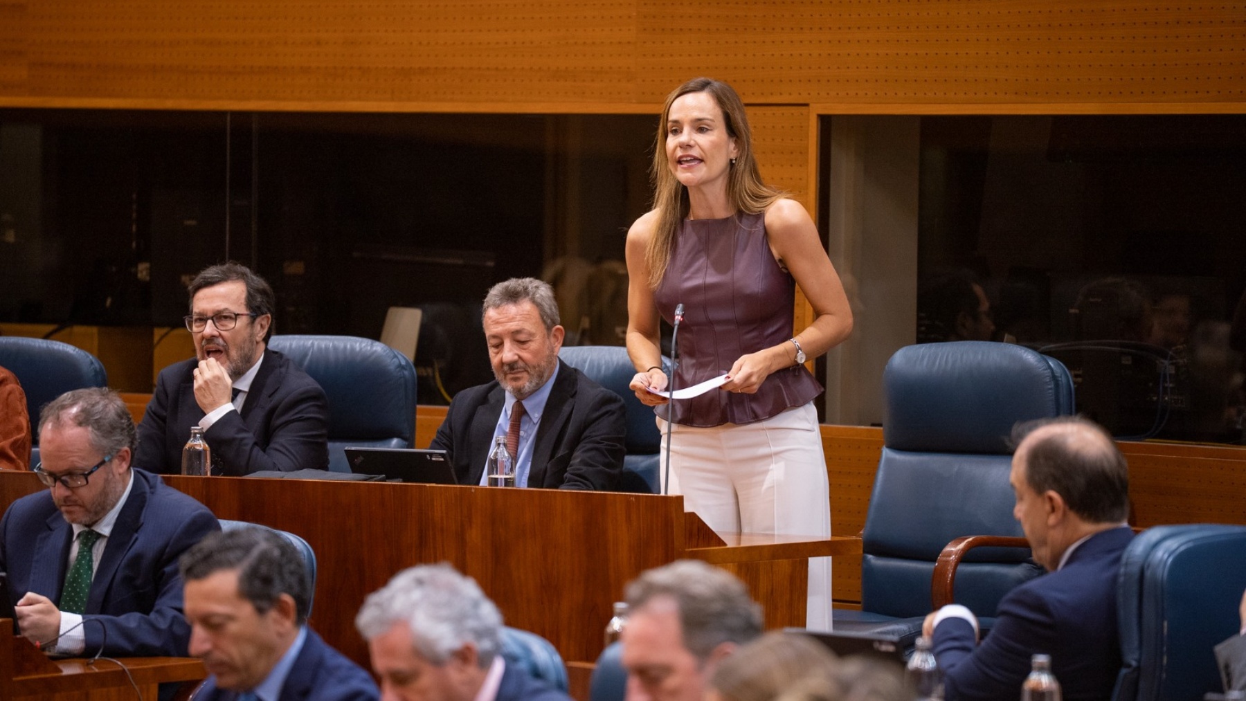 Isabel Pérez Moñino, VOX